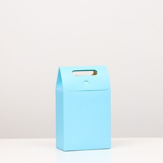Коробка-пакет с ручкой, голубая, 27 х 16 х 9 см (2 штуки)