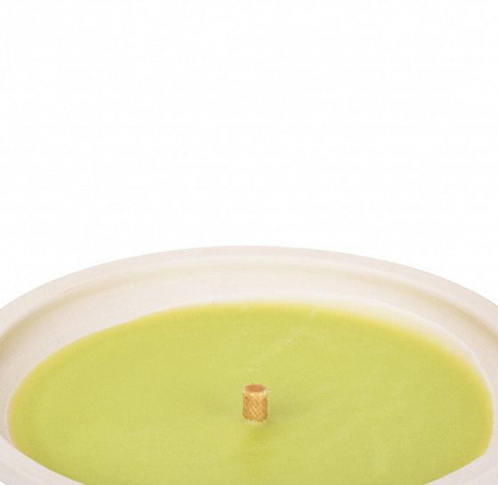 Свеча садовая в терракотовом блюде ЗЕЛЕНОЕ ЯБЛОКО 9ч