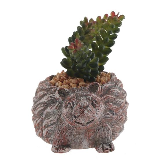 Цветочная композиция &quot;Суккулент&quot;, L14 W12 H12 см, 4в.