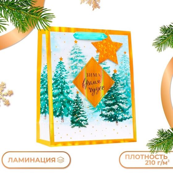 Пакет подарочный &quot;Зима - время чудес&quot;, 26 х 32 х 12 см.