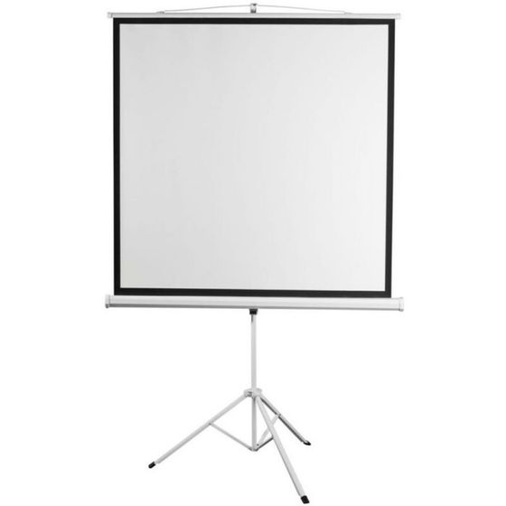 Экран 150x150 см, Digis Kontur-D DSKD-1103, 1:1, напольный, рулонный