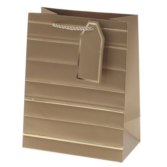 Пакет подарочный (бумага 210г/м2, блок 12шт), L18 W10 H23 см, 10в.