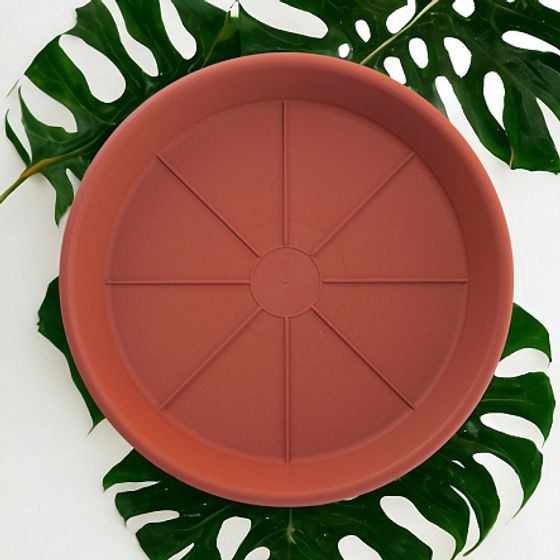 Поддон пластиковый 20см