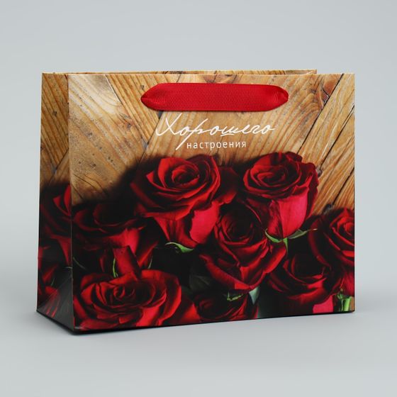 !Пакет подарочный ламинированный «Хорошего настроения», 22 × 17.5 × 8 см