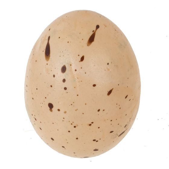 Набор из 14-ти изделий декоративных &quot;Яйцо&quot; , Д16 Ш7 В23 см