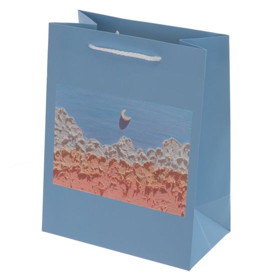 Пакет подарочный (бумага 210г/м2, блок 12шт), L18 W10 H23 см, 4в.