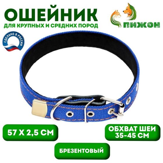Ошейник брезентовый с подкладом, 57 х 2,5 см, ОШ 35-45 см, синий
