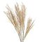 Ветка искусственная "Колос", L13 W9 H65 см