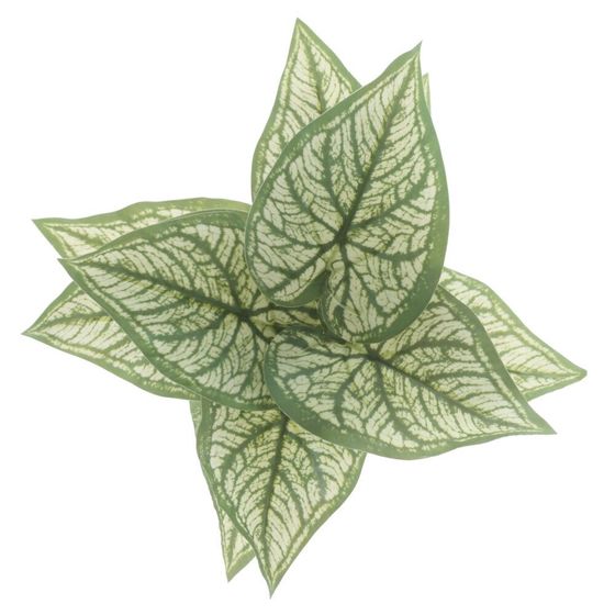 Цветочная композиция "Каладиум", L20 W20 H21 см