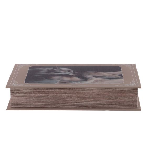 Шкатулка-книга, Д16,5 Ш4,5 В26 см