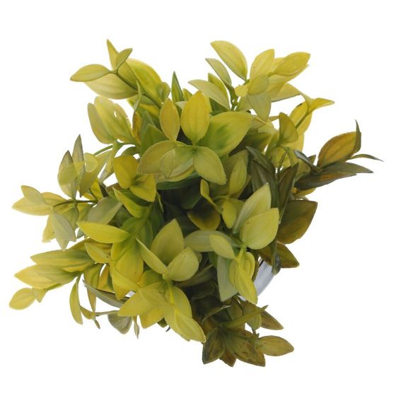 Цветочная композиция, L12 W12 H20 см, 4в.