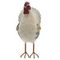 Фигурка декоративная &quot;Курица&quot;, L14,5 W12 H25 см