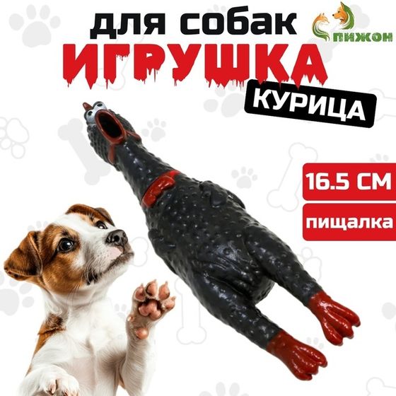 Игрушка пищащая &quot;Задумчивая курица&quot; малая для собак, 16,5 см, чёрная