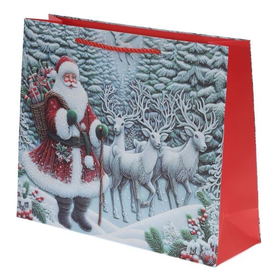 Пакет подарочный (бумага 210г/м2, блок 12шт), L18 W10 H23 см, 4в.