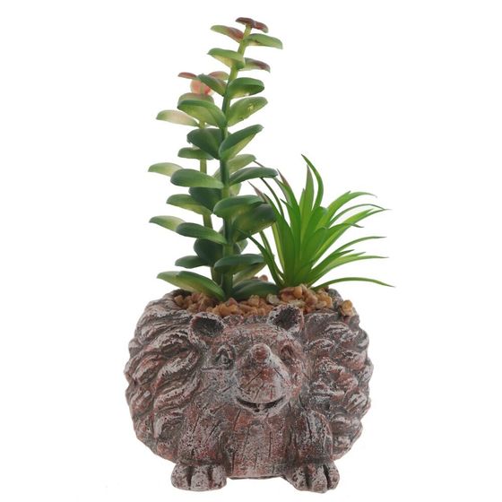 Цветочная композиция &quot;Суккулент&quot;, L14 W12 H12 см, 4в.