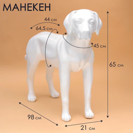 Манекен собаки, стоячий, разборный, фибергласс,  белый