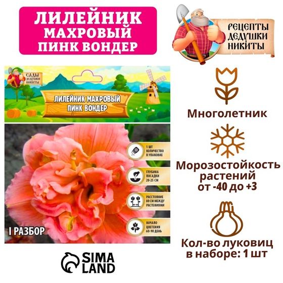 Лилейник &quot;Double Pink Wonder&quot;, р-р I, 1 шт, Весна 2025