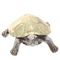 Фигурка декоративная &quot;Черепаха&quot;, L13,5 W11,5 H5 см