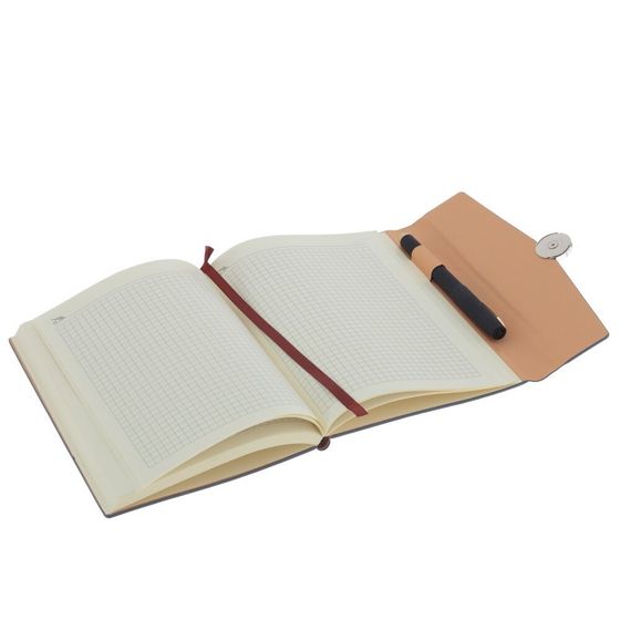 Набор из блокнота и ручки, Д19,5 Ш24,5 В4 см