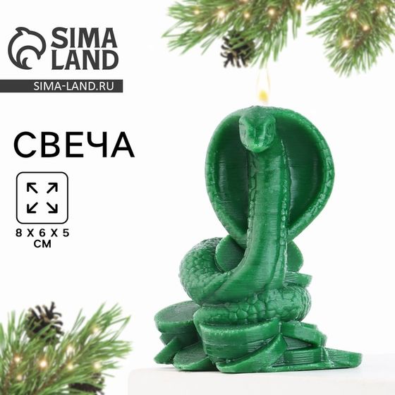 Свеча интерьерная в коробке «Змея на монетках», зелёная 8×6×5 см