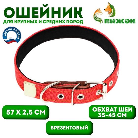 Ошейник брезентовый с подкладом, 57 х 2,5 см, ОШ 35-45 см, красный