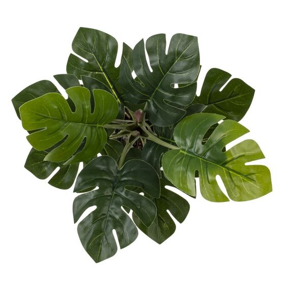 Цветочная композиция, L25 W25 H30 см, 5в.