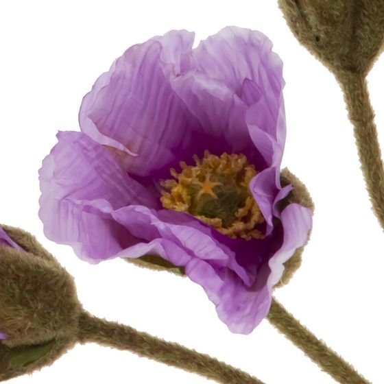 Цветы искусственные "Букет маков", L14 W12 H52 см