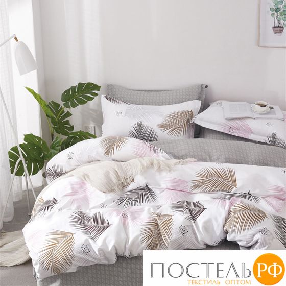 TPIG2-779-50 КОД1049 КПБ Twill 2 спальный 50x70 (2 шт) Сатин (Твил) Коробка