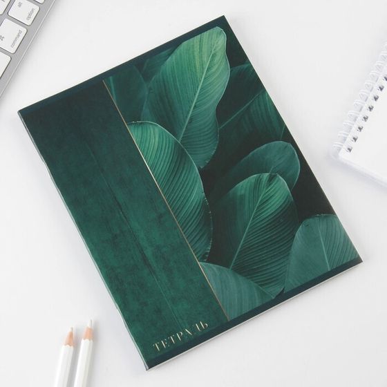 !Тетрадь А5, 48 листов на скрепке 4 штуки МИКС, «Тёмная ботаника», обложка мелованный картон 230 гр., внутренний блок в клетку 80 гр., белизна 96%
