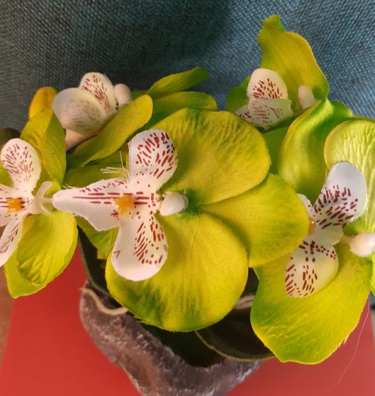 !09 Композиция цветочная L18 W18 H23 см.