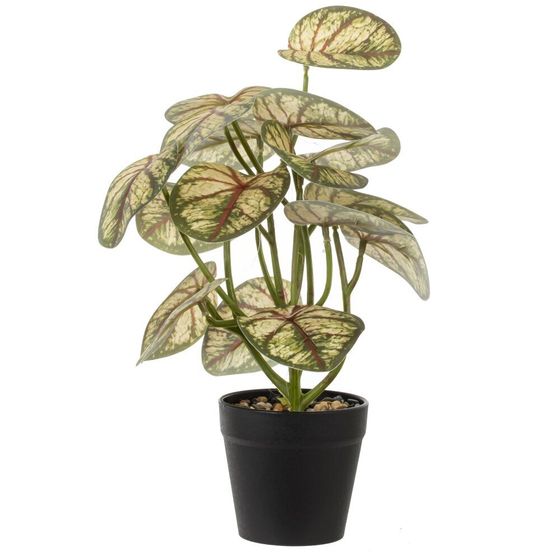 Цветочная композиция, L25 W25 H30 см, 5в.