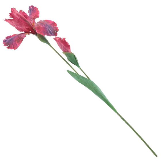 Цветок искусственный &quot;Ирис&quot;, L17 W17 H84 см