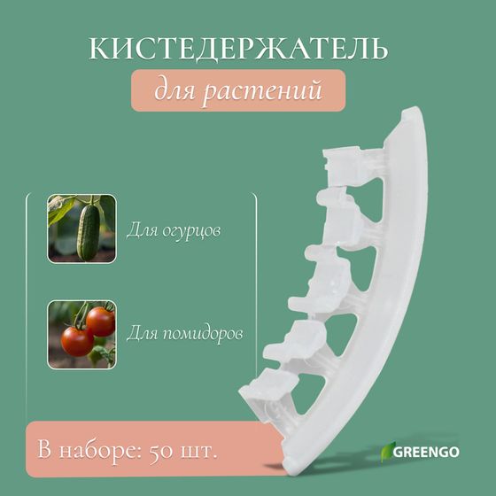 Кистедержатель «Улитка», 4 см, набор 50 шт., Greengo