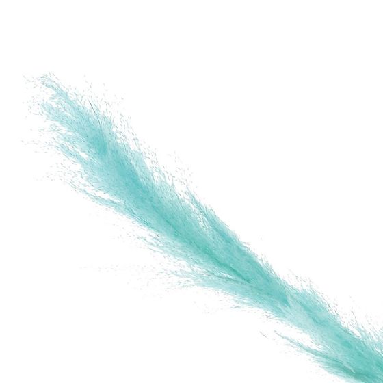 Ветка &quot;Сухоцвет&quot;, L8 W8 H90 см