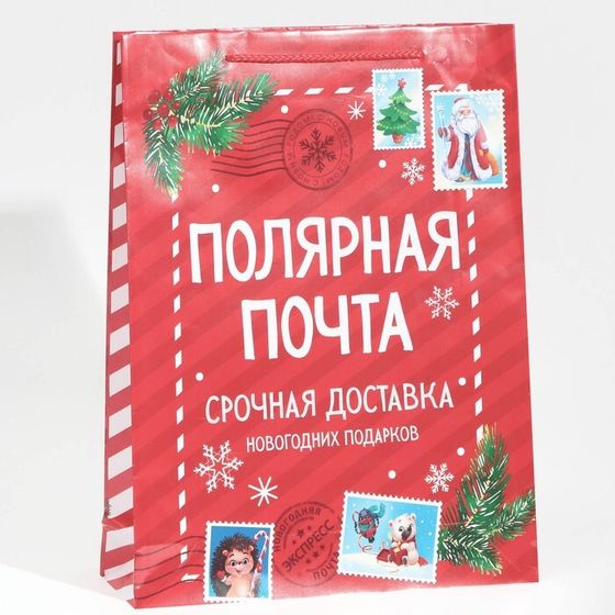 Пакет подарочный новогодний ламинированный «Полярная почта», L 28 х 38 х 9 см, Новый год