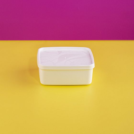 Контейнер для заморозки ALASKA 0.65л белый