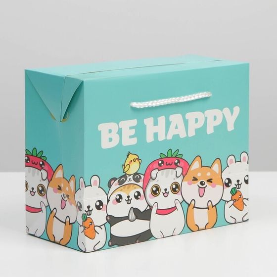 !09 Пакет—коробка Present, (набор 2 штуки), 23 × 18 × 11 см.