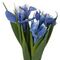 Цветочная композиция &quot;Ирисы&quot;, L12 W12 H28 см