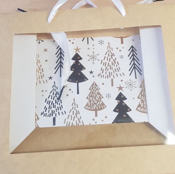 !Набор 2 штуки - Пакет бумажный " Merry Chrismas" 18*23 см.