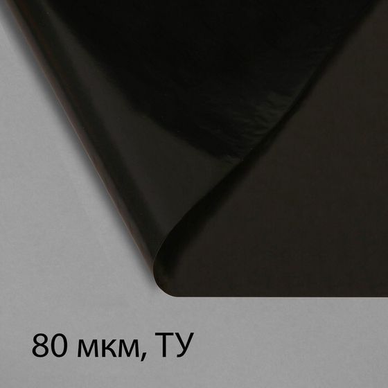 Плёнка полиэтиленовая, техническая, 80 мкм, чёрная, длина 10 м, ширина 3 м, рукав (1.5 м × 2), Эконом 50%