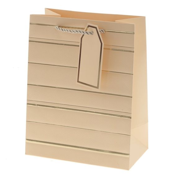 Пакет подарочный (бумага 210г/м2, блок 12шт), L18 W10 H23 см, 10в.