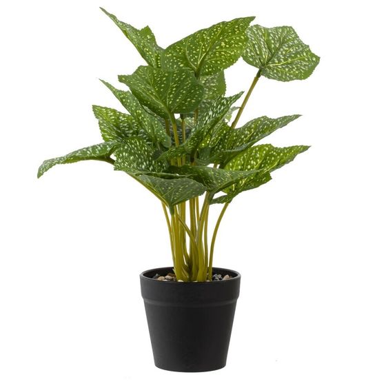 Цветочная композиция, L25 W25 H30 см, 5в.