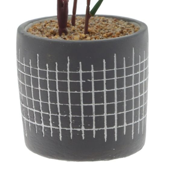 Цветочная композиция &quot;Папоротник&quot;, L11 W11 H59 см