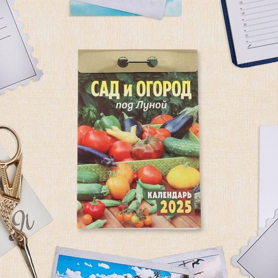 Календарь отрывной &quot;Сад и огород под Луной&quot; 2025 год, 7,7 х 11,4 см