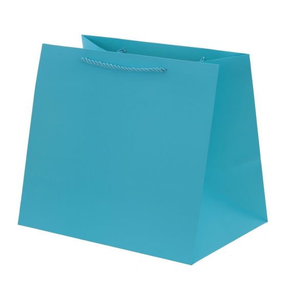 Пакет подарочный (бумага 230г/м2, блок 12шт), L28 W20 H25 см, 5в.