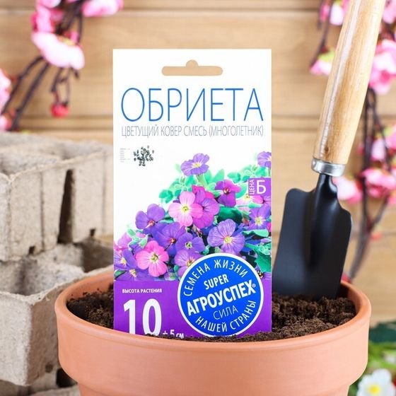 Семена цветов Обриета &quot;Цветущий ковер&quot;, многолетник, 0,1 г