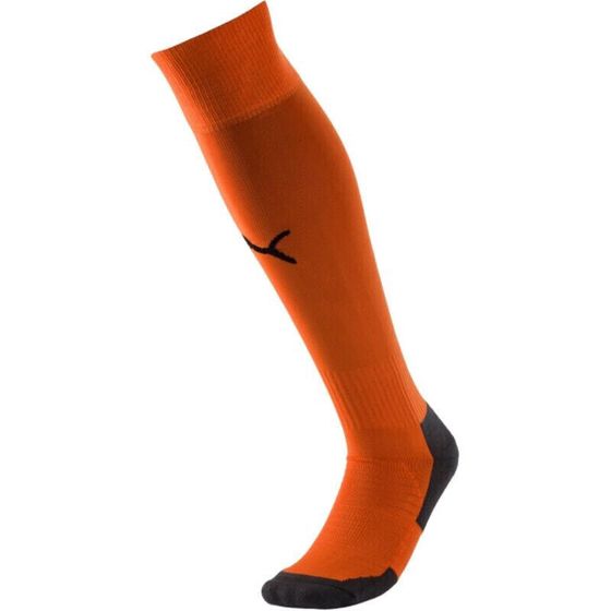 Носки для футбола Puma Liga Core Socks 703441 08