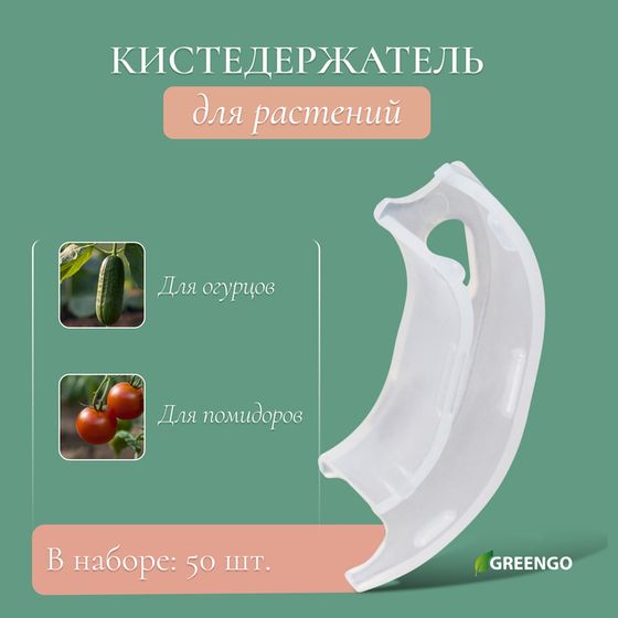 Кистедержатель «Улитка», 3,5 см, набор 50 шт., Greengo