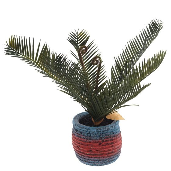 Цветочная композиция &quot;Пальма&quot;, L27 W23 H34 см, 3в.
