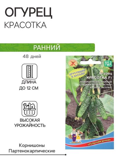 Семена Огурец &quot;Красотка&quot;, F1, 10 шт